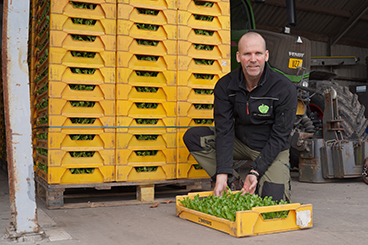 Dolf Ursem UZ Vegetables.jpg